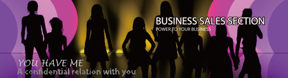 Business Sales Section
